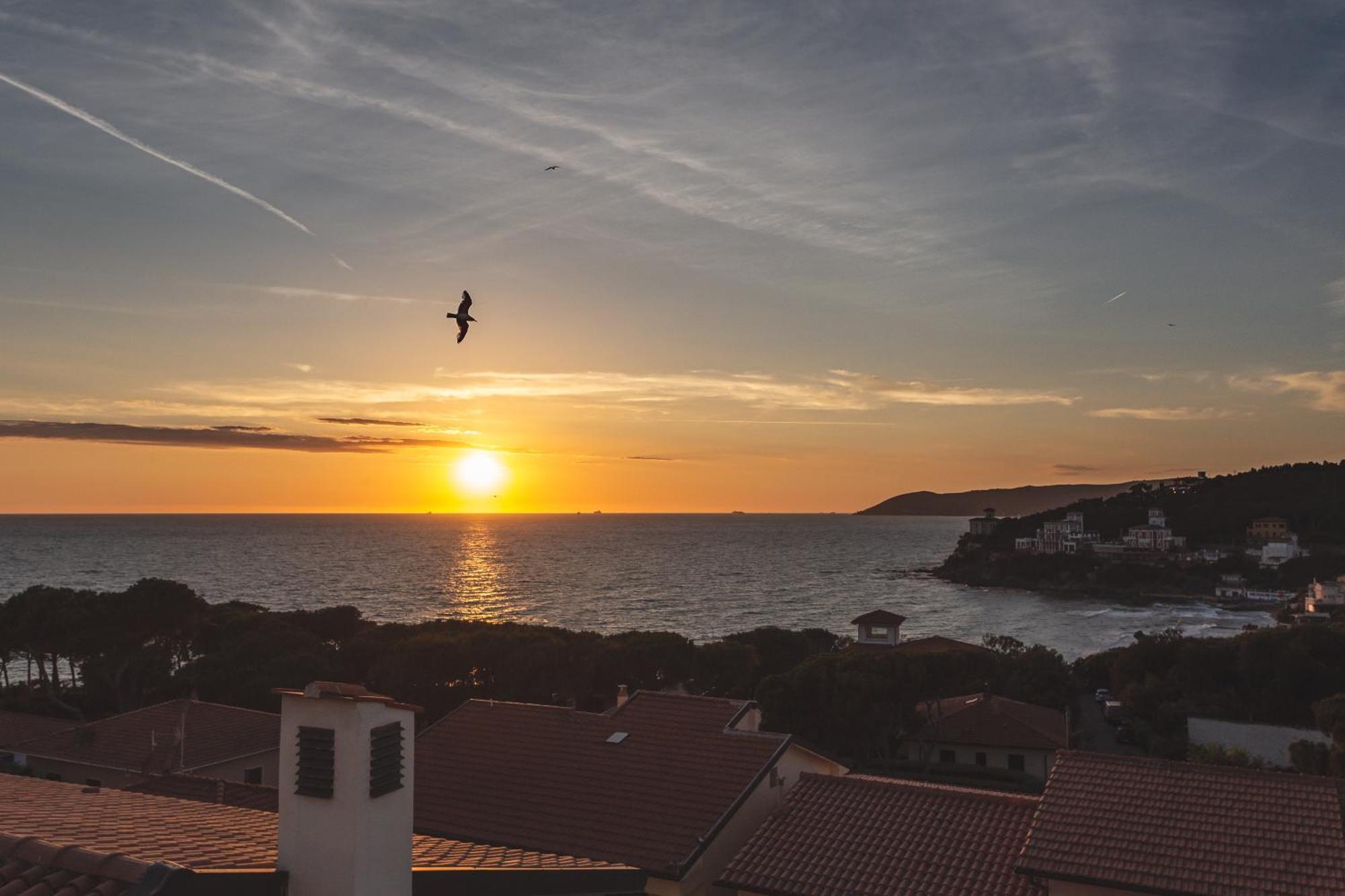 Villa Martini Castiglioncello Eksteriør billede